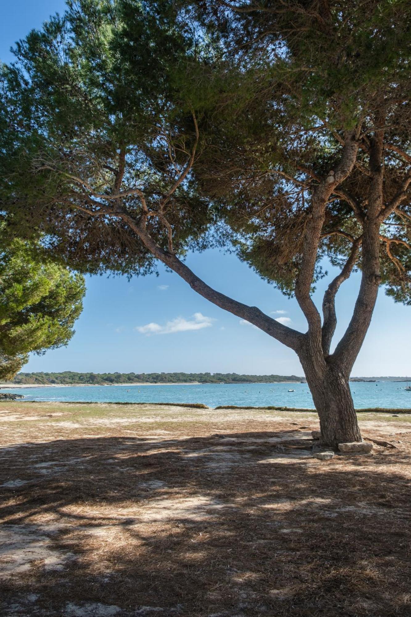 Alma Libre Beach Apartment Colonia de Sant Jordi Luaran gambar